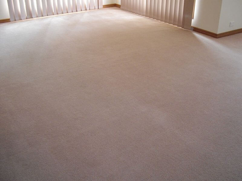 Steam Cleaning Micks Carpet Cleaning